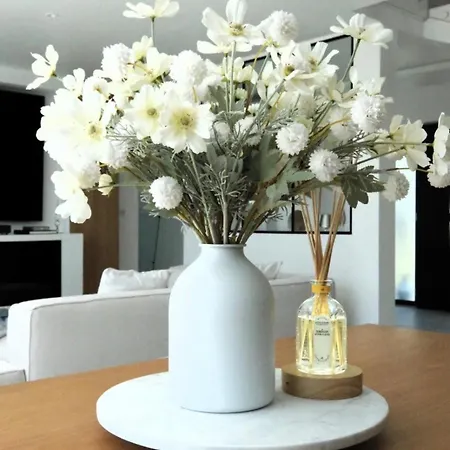Villa Cap D'antibes Villa, 6 People, Sea View, Air Conditioning *